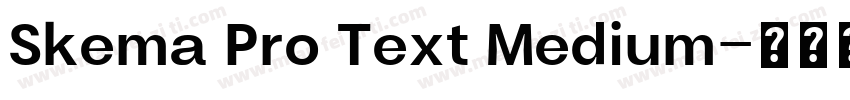 Skema Pro Text Medium字体转换